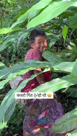 #dhankuta #pakhribas #गाउँले गीत 🎶 ❤️#गाउँको रमाइलो 😁 