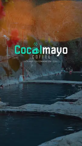 Cocalmayo Coffe cacao no es solo un producto es el reflejo de una historia colectiva, una se,illa de esperanza transformada en sabor, en aroma y en vida, es la prueba de que, en momentos más difíciles, siempre se puede renacer, siempre se puede crear algo nuevo y poderoso.  #cocalmayocoffe #santateresa #Cafe #coffe @cocalmayocoffee 