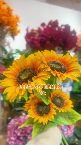 Llega septiembre y tú..... Manifiesta todo lo que pedirás este mes en Hipermaxi 🧡 #Hipermaxi #Septiembre #PreciosBajos #Manifiesto