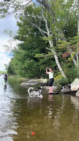 🎣🤦🏻‍♀️ #fisharefriendsnotfood #huskythings #fyp #jet2holidays 
