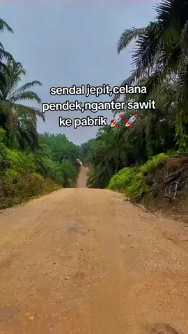 gas terus@JF___an🚀  @KRISNA AP @Team22 @Syawall Gacor02💦 @Arisman252 @bolang2 @Kelvin06 @nanda_ @adi. shaputra @ＡＮＡＫ ＢＡＩＫ🤘 @ANDIKA @ardianto @Ardian97 @Dhito_ksr @dika010126#02 @FIKI @HABIBI  @ijul_251 @ipen769 @Mas MT @𝙈𝙚𝙘𝙘𝙖 𝙂𝙖𝙣𝙠 @Riyan 01 @TEAM_055🏁 @Zainal Arifin @#ptarvenasepakat #truksawitriau #masukberanda #fyppppppppppppppppppppppp #euro4 