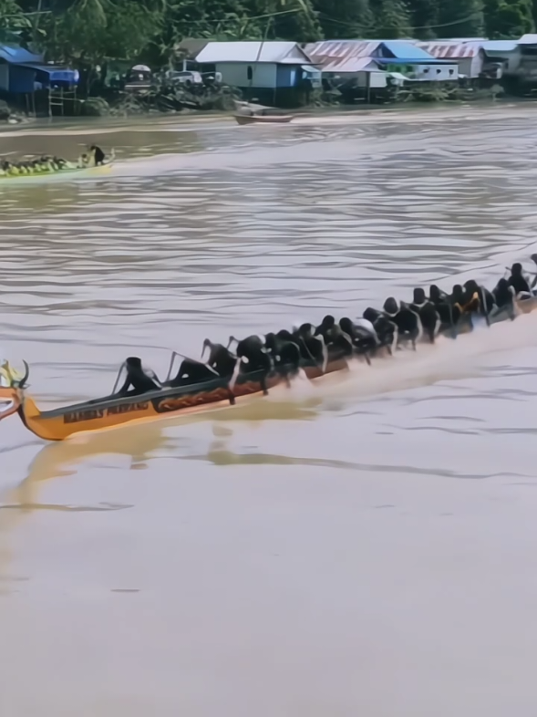 MAMBAS PARRANG A #mambasparrang #LombaPerahuPanjang ##LestarikanBudaya #pilotcinematic #AbutBarintak2025 