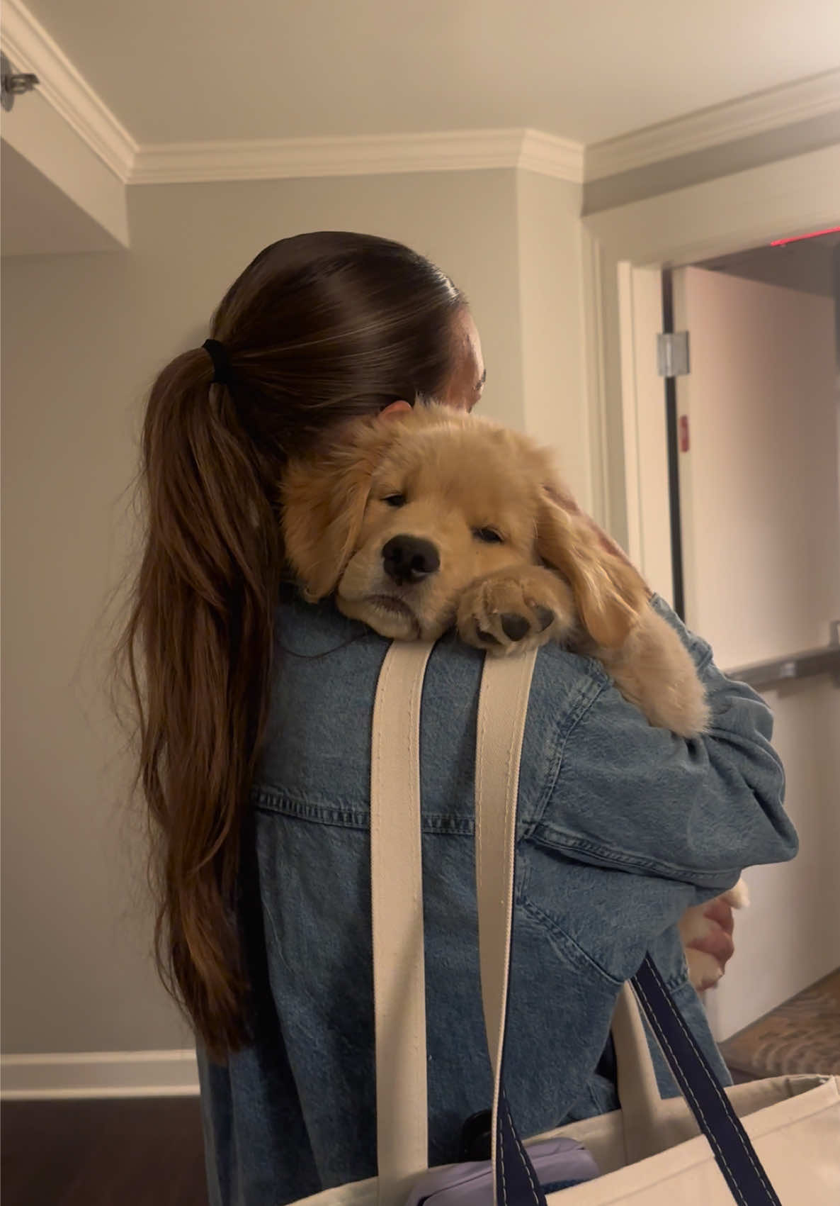 my sweet boy🤍😭    #goldenretrieverpuppy #puppiesoftiktok #adorablepuppy #goldenretrieverlife #puppysnuggles 