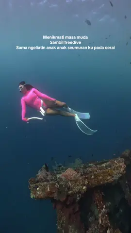 😅🫢🤭 #fundive#freediving#shipwreck#traveldiaries 
