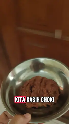 keknya Choki ini kucing kesayangan warga sini, pernah malem2 aku kasih treats (tapi Chokinya g mau) ada bapak2 lewat menyapa Choki 😂🤣😂, anak-anak sini juga care banget sama Choki ❤ #choki #cats #selebcing #kucingtiktok 