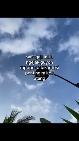 #tobrut