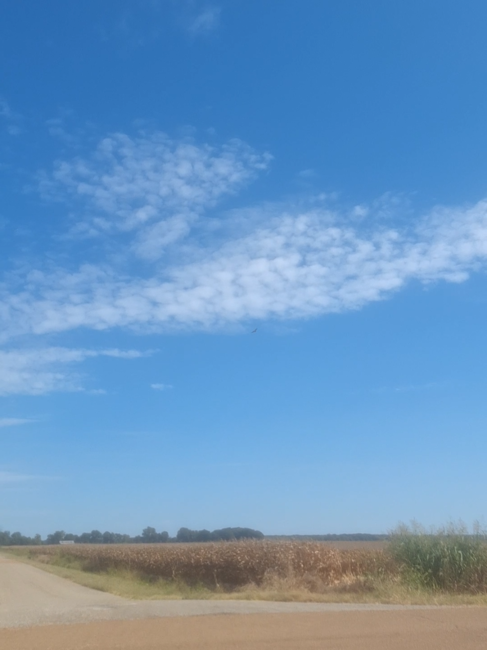 Long run to finish up the holiday weekend.  #marathontraining #slowrunner 