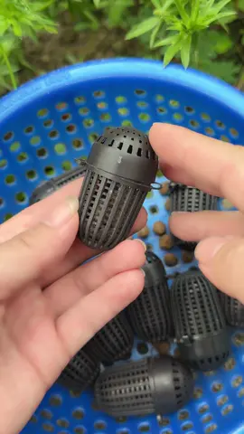 hộp đựng mồi đặt tép