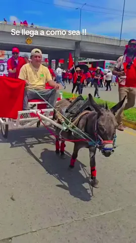 #hondureñosenusa🇭🇳🇺🇸 #partidoliberaldehonduras🇦🇹 #partidolibre🇲🇦 #partidonacional🇸🇴 