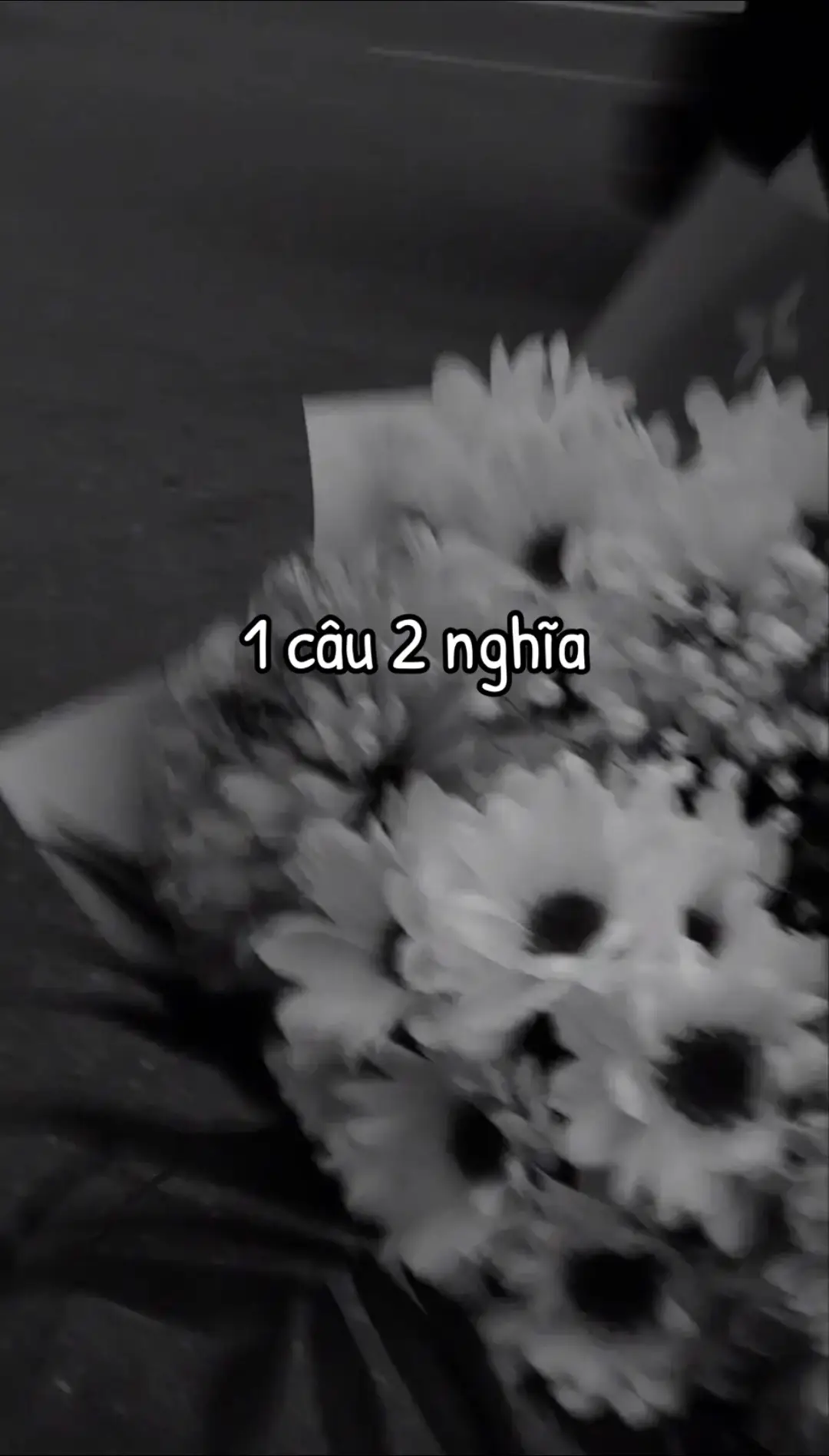 1 câu 2 nghĩa#ilovetiktok #nhacbuontamtrang #buon_tam_trang #xuhuongmanh🍀🍀🍀 #fypシ゚viral🖤tiktok 