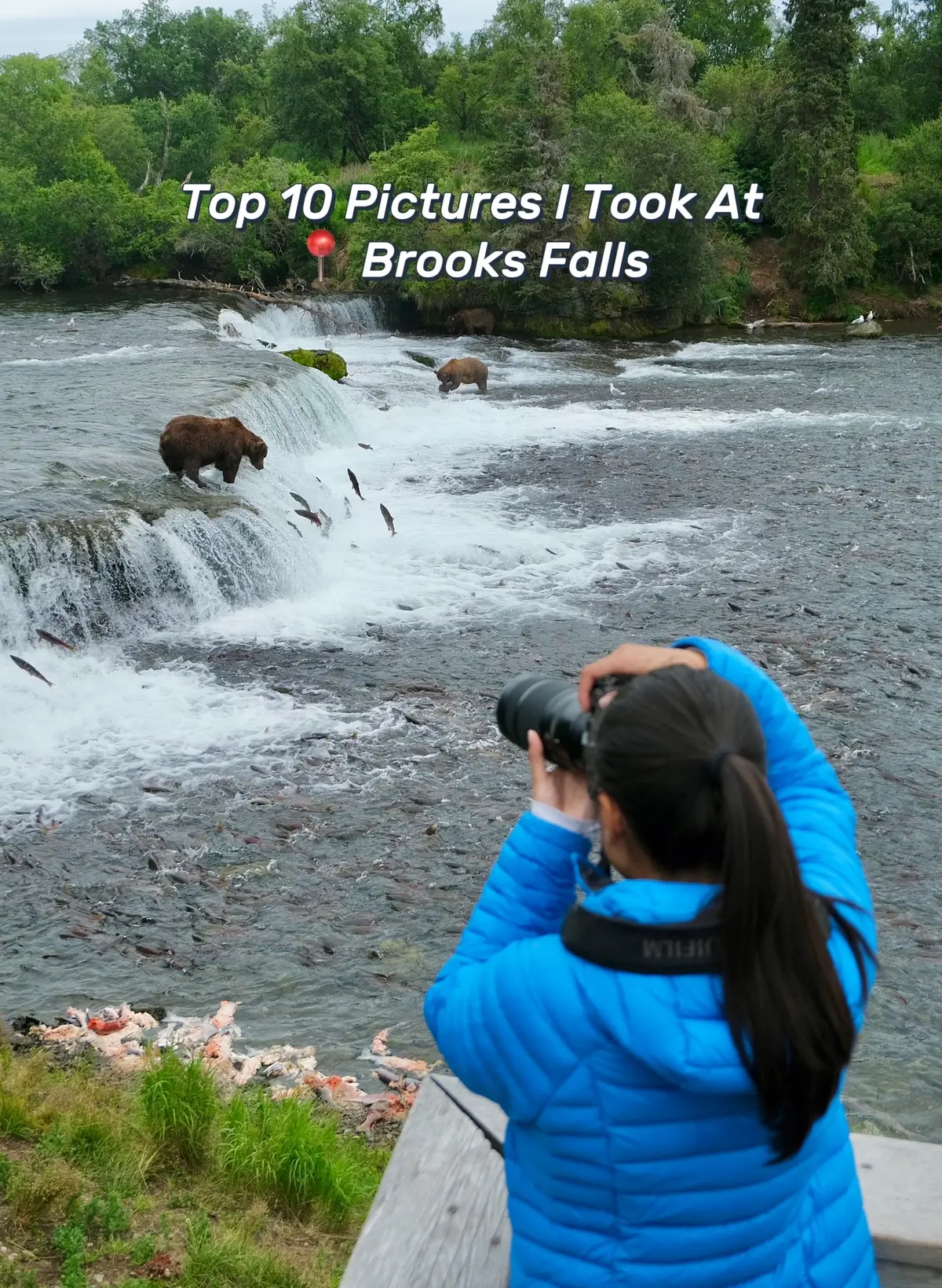 If bears are so scary, then explain these pics #bear #brooksfalls #travel #photography 