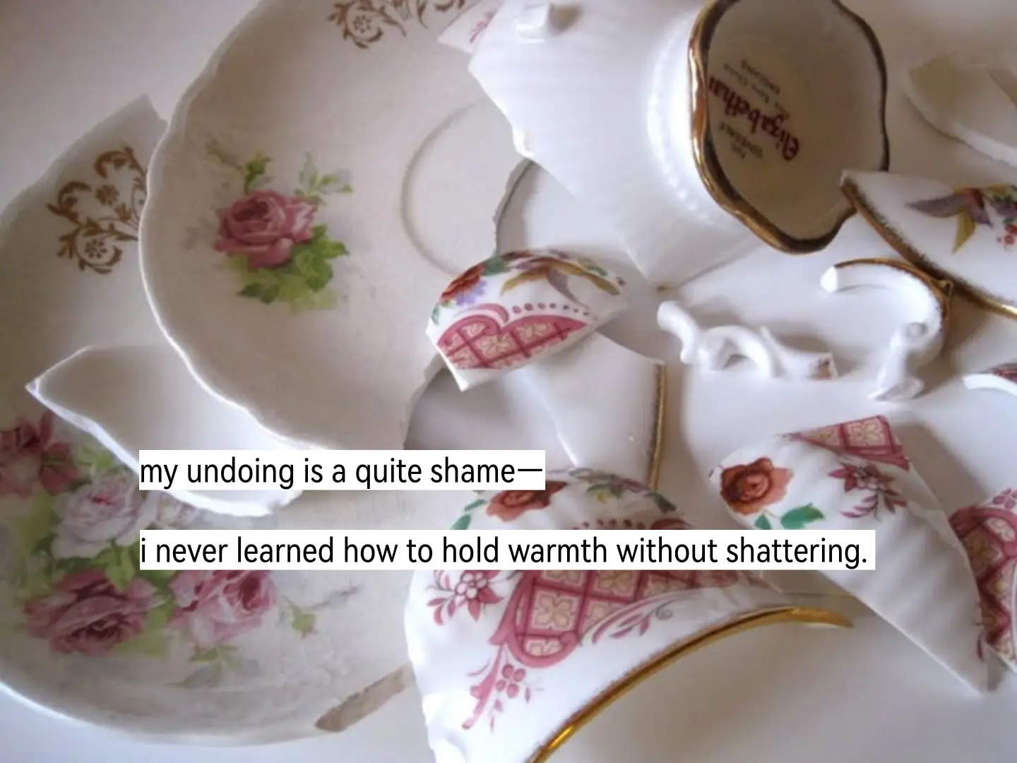 my undoing is a shame—i don't know how to hold warmth without breaking, though i've prayed all my life to be able to. #poetry #proses #journal #taylorswift #theprophecy 