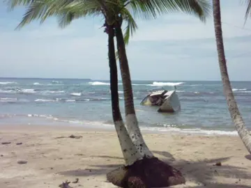 The Caribbean side of Costa Rica🤍 #digitalcamera #costarica #puertoviejocostarica #nature #nostalgia 