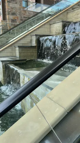 Díganle a los italianos que mejor pizza salió de la tuna 🍕🍕🍕 #panterbelico #parati #fyp 