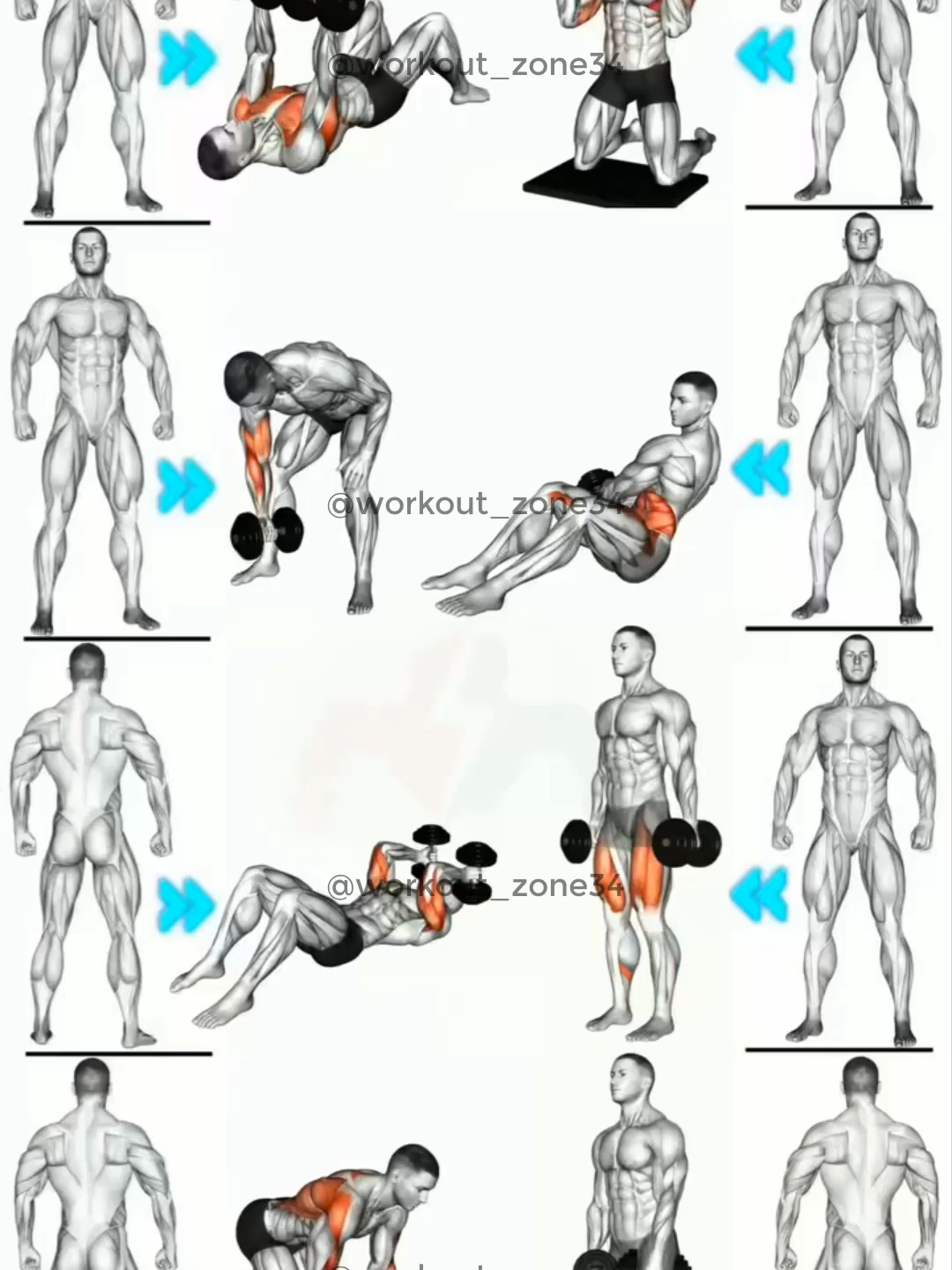 Full Body Dumbbell Workout #GymTok #muscle #exercise #Fitness #workout #workoutroutine #workouttips #fit #fitnesstips