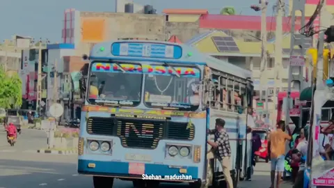 #niroshapassengersservices  #වවුනියාව15කොළඹ  #9167💙  #අමිලඅයියා💙  #ඇමරිකන්අයියා💙  GLS 💙🐬@Gangana_samaraweera 