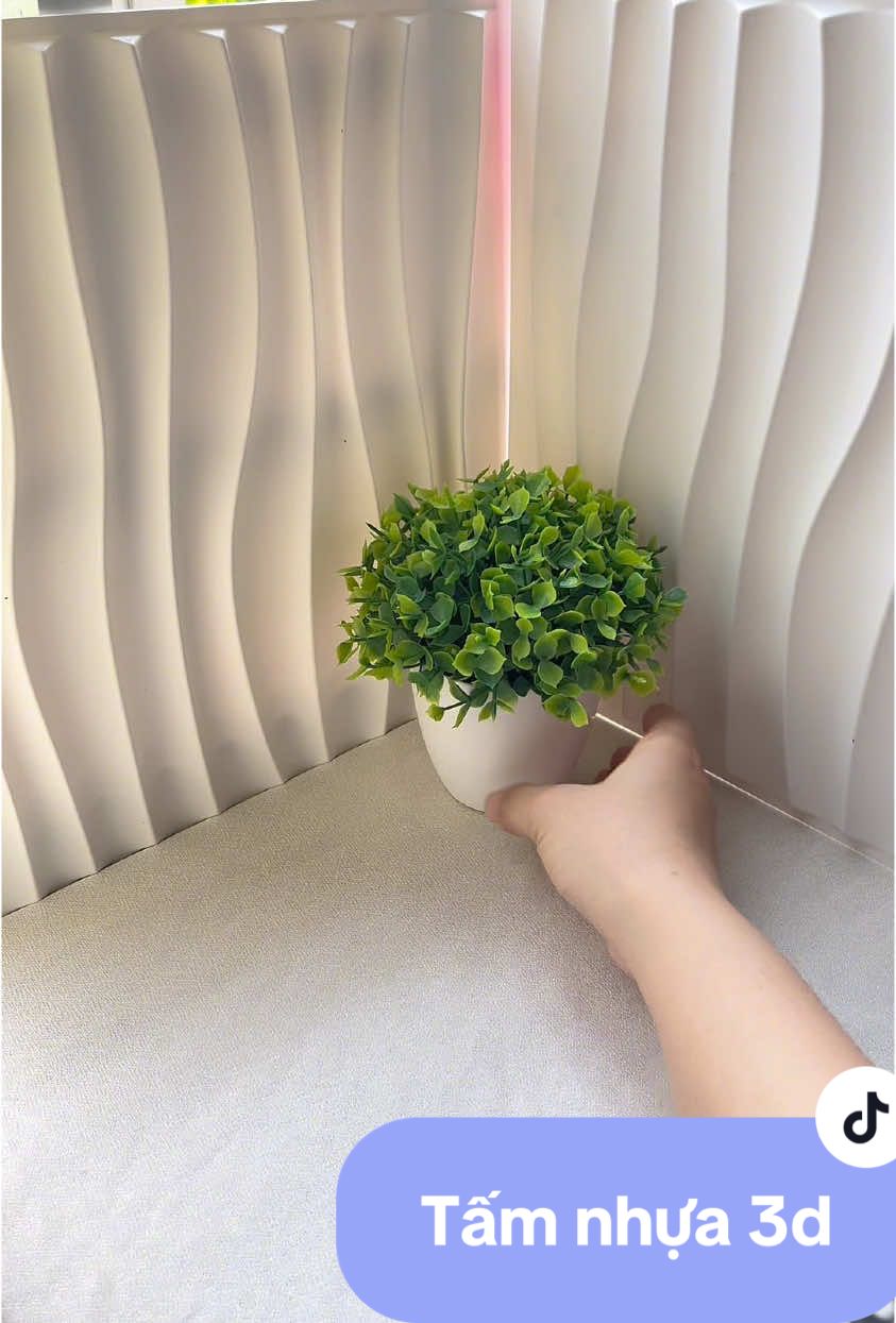 Có cái background đẹp quay video sáng mà sang hơn nè #background  #tamnhua  #tamnhuaoptuong  #tamnhuapvc  #decor  @Thùy nè 🌻 