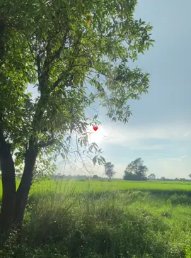 #fyp #foryou #viralvideo #support #naturelover 