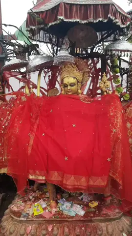 जय पाथिभरा माता — आस्थाको शक्ति, विश्वासको ज्योति र आत्मबलको स्रोत। 🙏🏻🙏🏻 #jaimatapathivara🕉️🕉️🕉️  #foryou  #taplejung  #nepal 