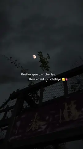 Mujhe Too sirf آپ سے (🎀) Chehiye 🫠❤️‍🩹 #foryoupage #fypシ #fypppppppppppppppppppppppppppppppppppシ #creatorsearchinsights 