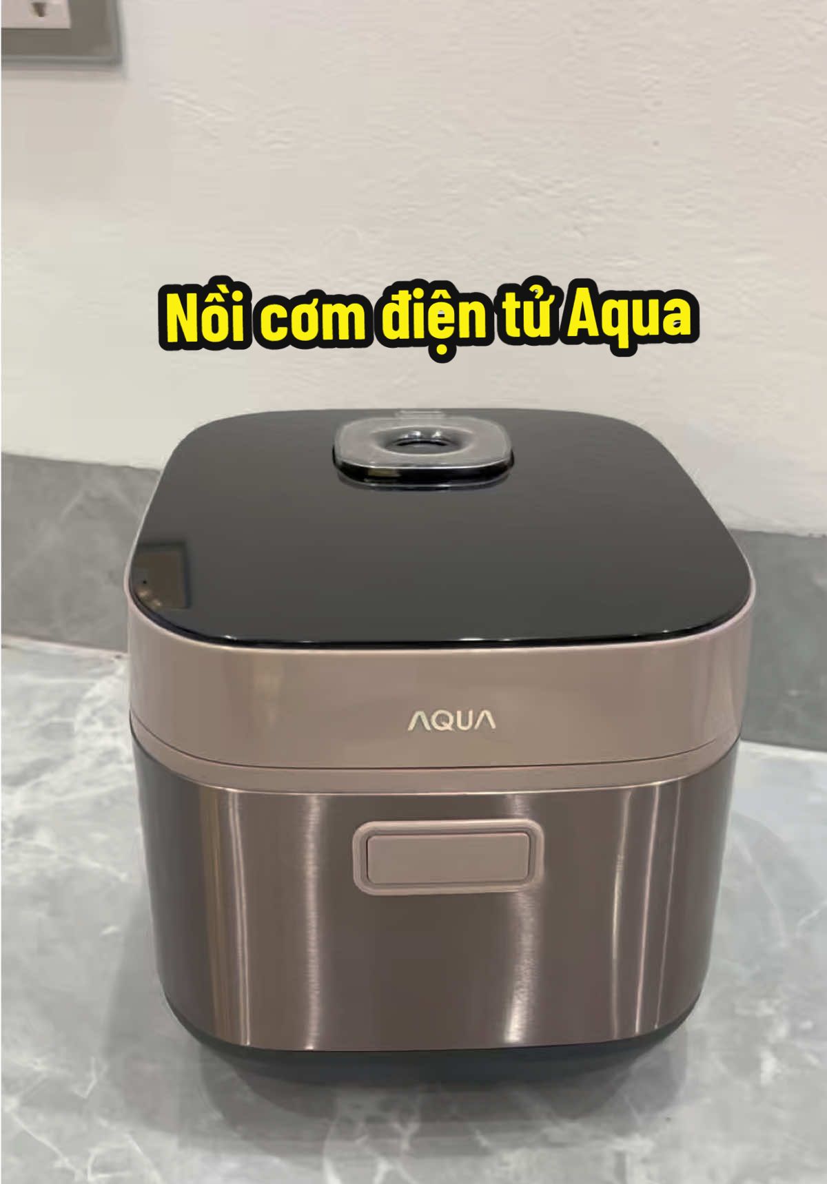 ☘️ Nồi Cơm Điện AQua Này Xịn Lại Đẹp . Ưng lắm #viral #aqua #noicomdien #noicomdiendanang #noicom 