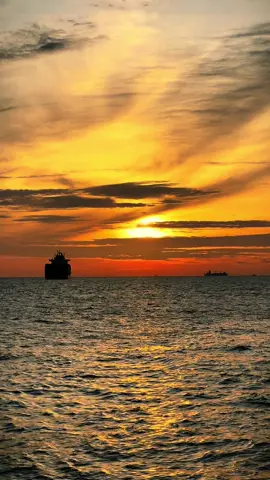 Tôi đi lang thang mong tìm em… #sunset #sea #xuhuongtiktok #fypシ゚ #foryou 