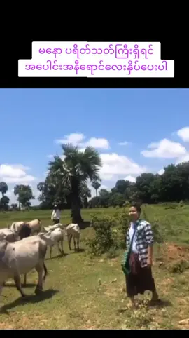 #အာရုဏ်ကျင်းအလင်းရောက်ပြီ🐓🐓#မနေ#မြန်မာသံစဥ်များကိုချစ်မြတ်နိုးသူ🎻🎤🪕#fyp #foryou 