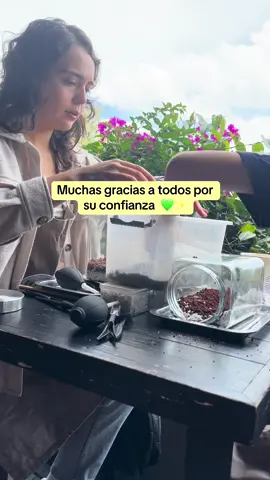 💚 Gracias por confiar en Plantarte ✨ En solo 8 meses hemos crecido gracias a ustedes, a cada sonrisa y a cada taller compartido 🌱 Lo mejor es que ¡esto apenas comienza! 🎉 #tiktokmexico🇲🇽 #ComunidadVerde     #cdmx #findesemana #FYP    