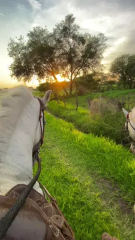🤠✌🏻#vaquero #joansebastian #rancho #paratii #caballos 