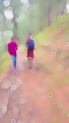 Safer ma dhoop to Ho gi@ahsankivines #TraVel_With_Asad #siran_valley #hike_to_DanaMeadows 