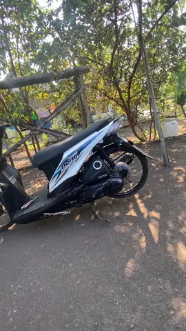 era shine🥺🫰🏻#beatfi #shine #ring17style #penggunaring17 #fyp 