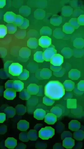 #fyp #foryou #foryoupage #tiktok 