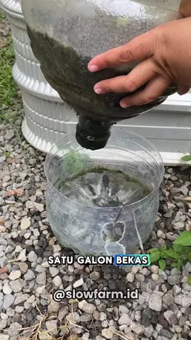 ♻️ Satu galon, dua fungsi! ✅ Panen sayur di atas ✅ Budidaya lele di bawah ✅ Anti jentik nyamuk Galon bekas bisa disulap jadi pot hidroponik + akuaponik mini. Lele bikin air tetap bersih. Simple, hemat, dan produktif 🌱🐟 👉 Coba cara ini di rumah dan tag temanmu yang wajib coba trik hemat ini! #Slowfarm #UrbanFarming #DIYKebun #AquaponikMini #Hidroponik