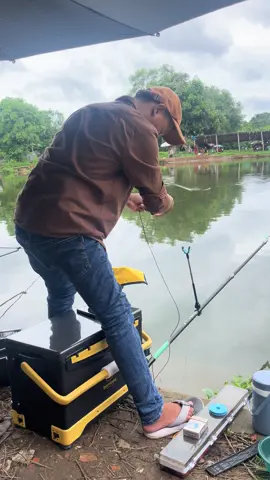 Sơ hở là lôi cần 😁 #fishing 