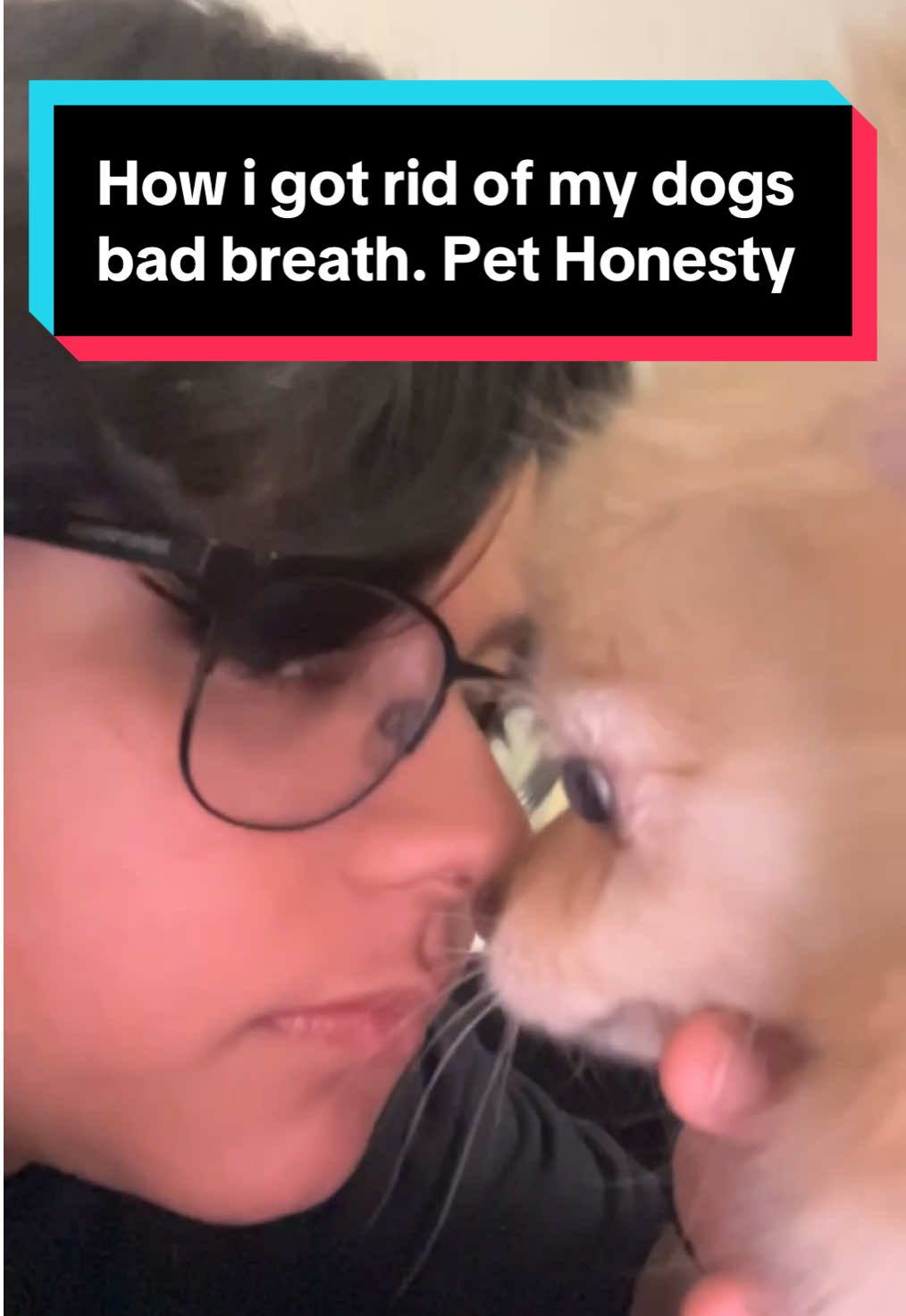 Little dog bad breath is HORRIBLE so I had to do something😭 #dogbadbreath #dogoralhealth #pethonesty #dogdentalcare #dogdentalhygiene 