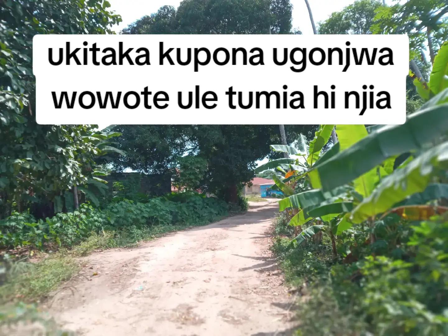 #ukitaka #kupona #ugonjwa #wowote #ule tumia hi njia utapona