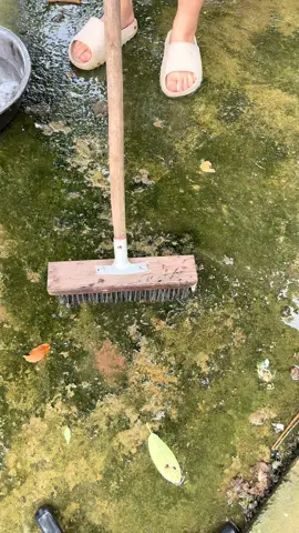 chổi sắt chà rong rêu siêu tiện lợi#trangreview #xuhuong #dogiadung #tienichgiadinh #choisatchareu 