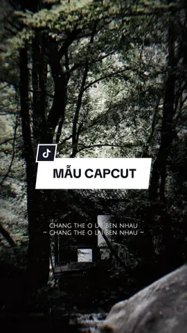 Cũng do anh quá yêu em nhưng yêu không đúng cách.. #CapCut #edit #mẫucapcut #xh #nhachaymoingay #lyrics #capcutmaster 