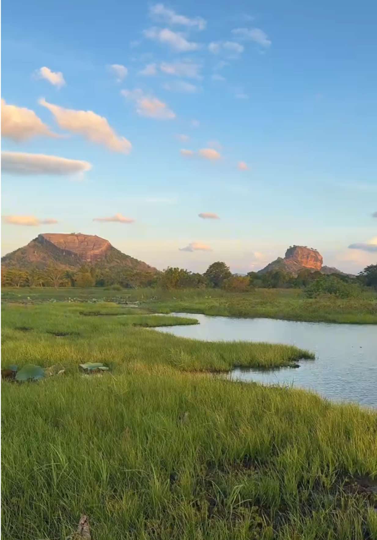 📍 Sigiriya 