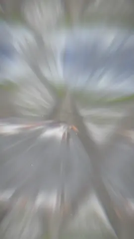 mưa quài #xh #ex2010 #capcut 