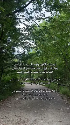#لاحول_ولا_قوة_الا_بالله_العلي_العظيم #أستغفر_الله_العظيم_واتوب_إليه #الحمدلله_دائماً_وابداً🤍 #اللهم_ارحم_جميع_موتانا_و_موتى_المسلمين #لاإله_إلا_الله🤍 