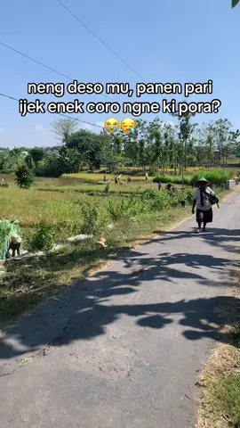 piye jek kelingan pora kang 😭 #panenpadi🌾 #petanimuda #petanimilenial #sawah #petaniindonesia🇮🇩🇮🇩🇮🇩🌿🌿 #fyp 