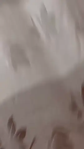 #foryoupage #fyp viral #foryou 😍😍😍