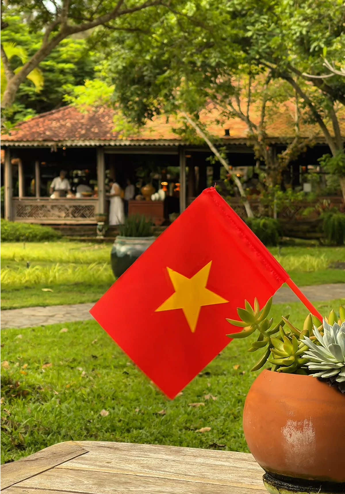 Vẻ đẹp của Hoà bình 🇻🇳 Khối Nhà hàng, khách sạn, Khu nghỉ dưỡng xin  được chúc mừng ngày Quốc Khánh nước mình ạ 🥰 #Hotram #hotreambeachboutiqueresortandspa #dulichvietnam🇻🇳 #Reviewdulich #Dulich 