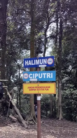 next mdpl?🤭 #capcut #puncakhalimun1658mdpl #pendakifomo #fyp #berandatiktok 