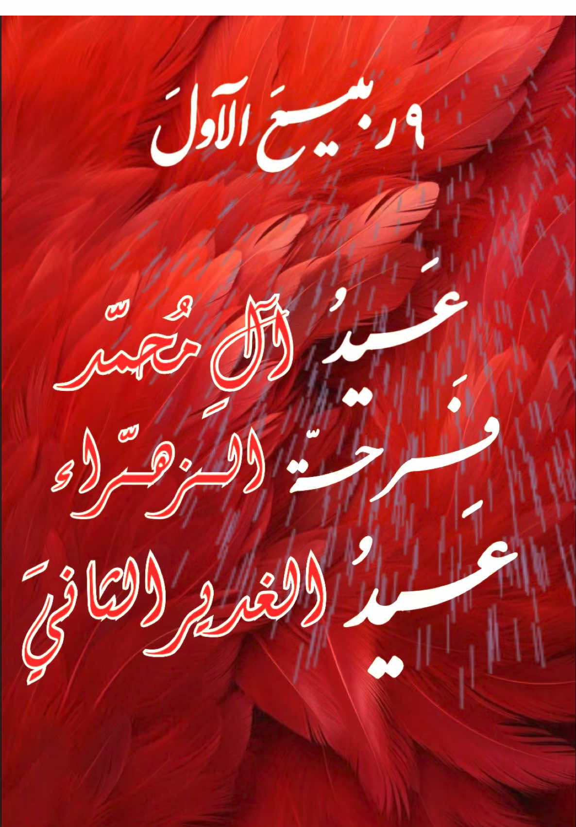اسعد الله ايامنا وايامكم 🌺🌺🌹🌹 . . #فرحة_الزهراء #الزهراء #مواليد #ياعلي #باسم_الكربلائي 