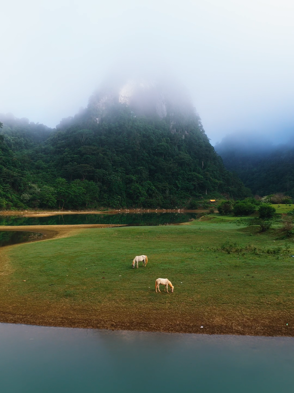 Low clouds rolling over Núi Thủng. Horses grazing by the water’s edge. From above, it looked like a scene straight out of a painting. Cao Bằng mornings are something else…. #caobang #vietnam #dji #mavic4pro #drone 