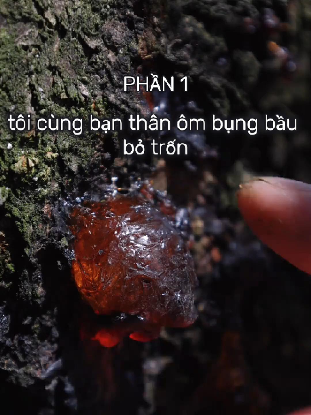 Phần 1 - Tôi cùng bạn thân ôm bụng bầu bỏ trốn khỏi ảnh đế và ông trùm tài chính - Cre: Gấu Mèo Audio #truyenaudio #xuhuong #foryou #viral #ngontinh