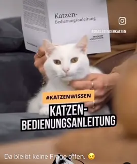 #🤣🤣🤣 #catsofttiktok #❤️❤️❤️❤️❤️❤️❤️❤️❤️❤️❤️❤️❤️❤️❤️❤️❤️❤️❤️❤️ 