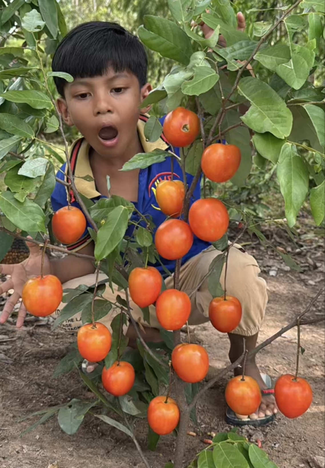 Part 13 | Survival Skills: SMART idea and USEFUL#bushcraft#camping#Outdoors#useful#Outdoors